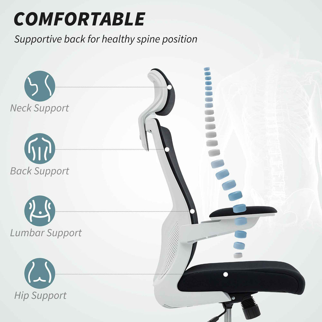 Andre Ergonomic Office Chair with 2D Lumbar Support and adjustable Headrest-Black/White