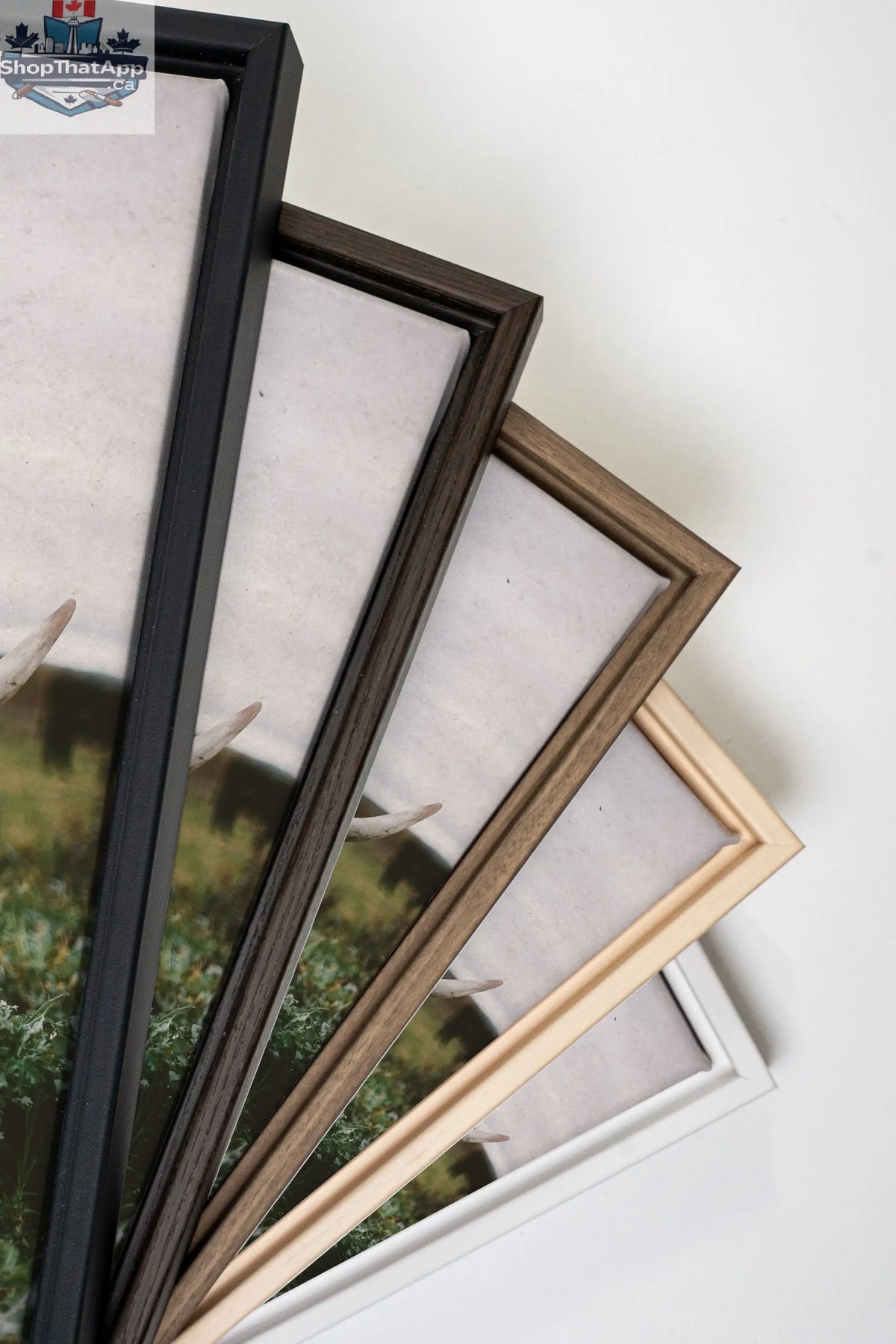 ROOTED SPIRIT Art - Oeuvre sur toile étirée - Shopthatapp.ca