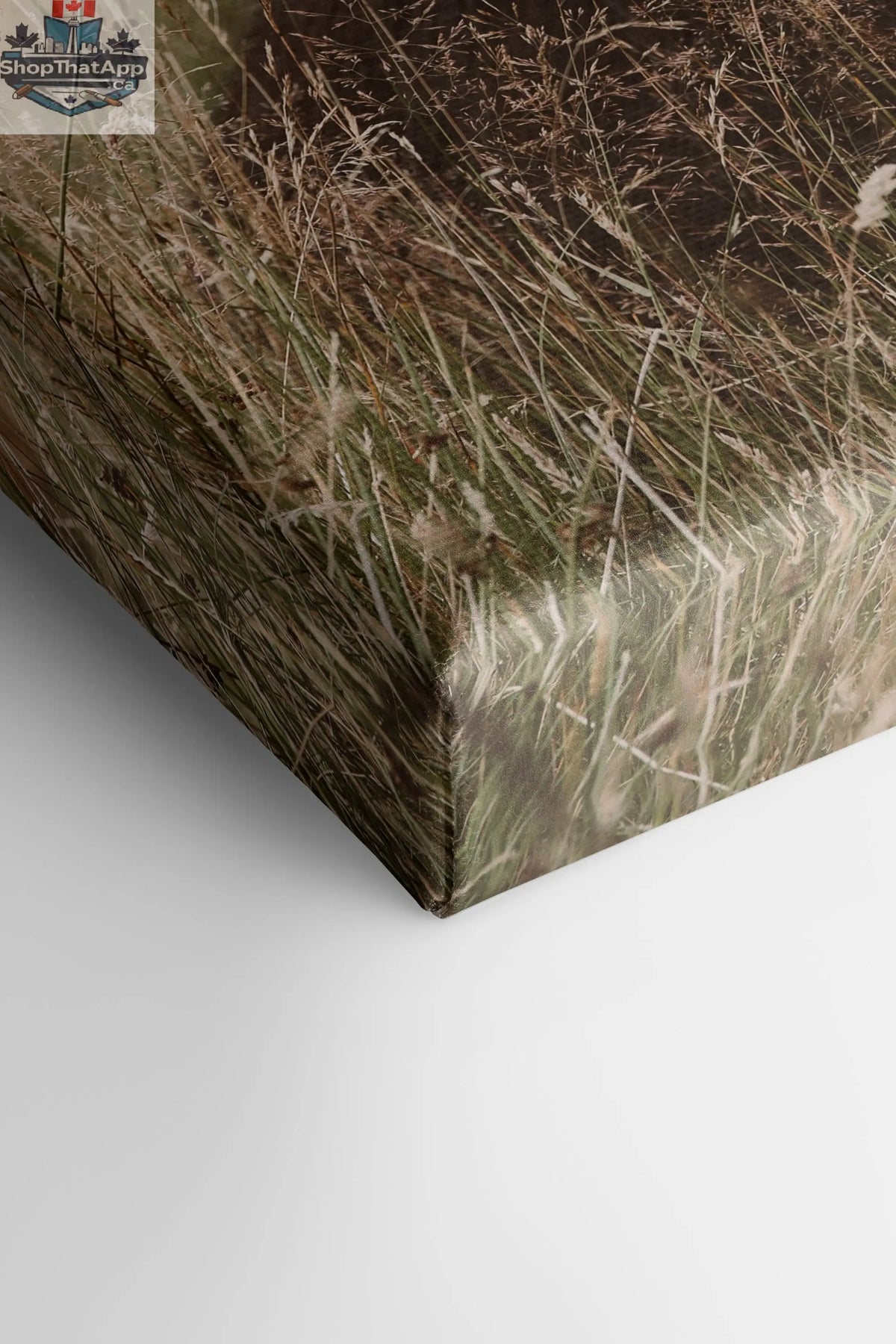 HIGHLAND SPIRIT - Route du Village Canvas Art - Oeuvre sur toile étirée - Shopthatapp.ca