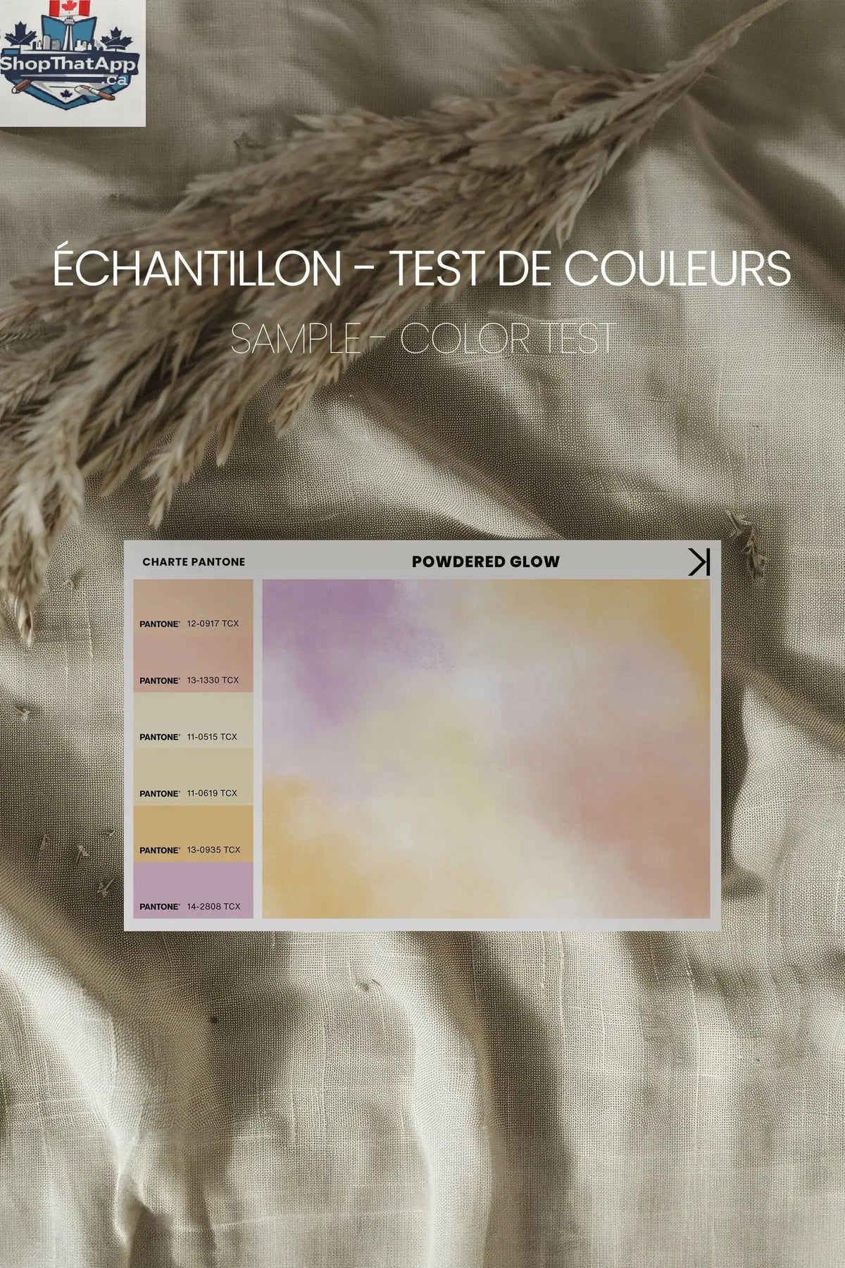 POWDERED GLOW Artwork - Oeuvre sur toile étirée (Test Jay et Will) (Copie) - Shopthatapp.ca
