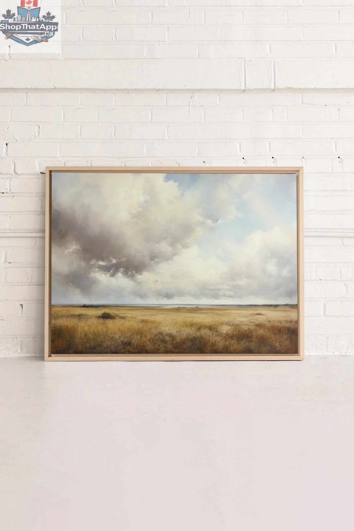 RADIANCE - Tableau Radiance Étiré sur Toile - Shopthatapp.ca