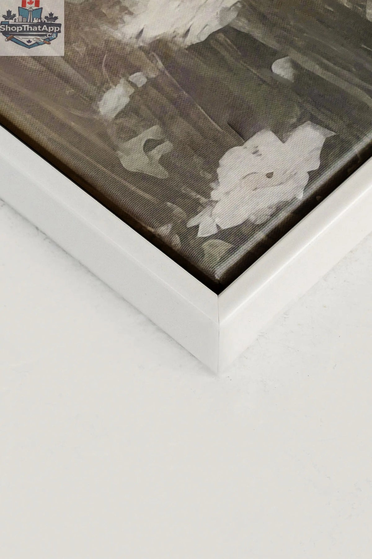 Delicate Blooms Canvas Art - Oeuvre sur toile étirée - Shopthatapp.ca