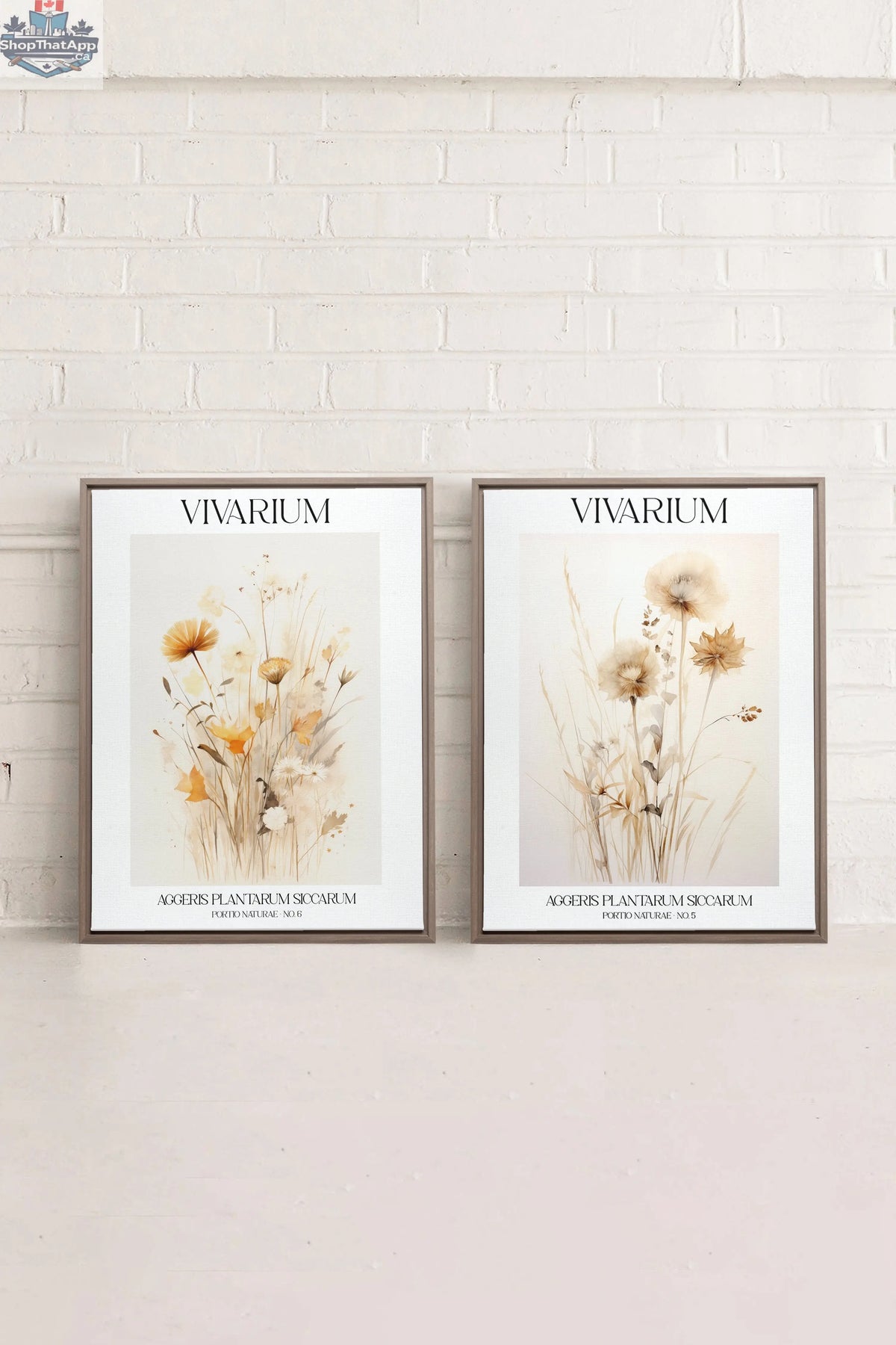 Combinaison Vivarium Imprimée avec 2 Toiles Imprimées - Shopthatapp.ca