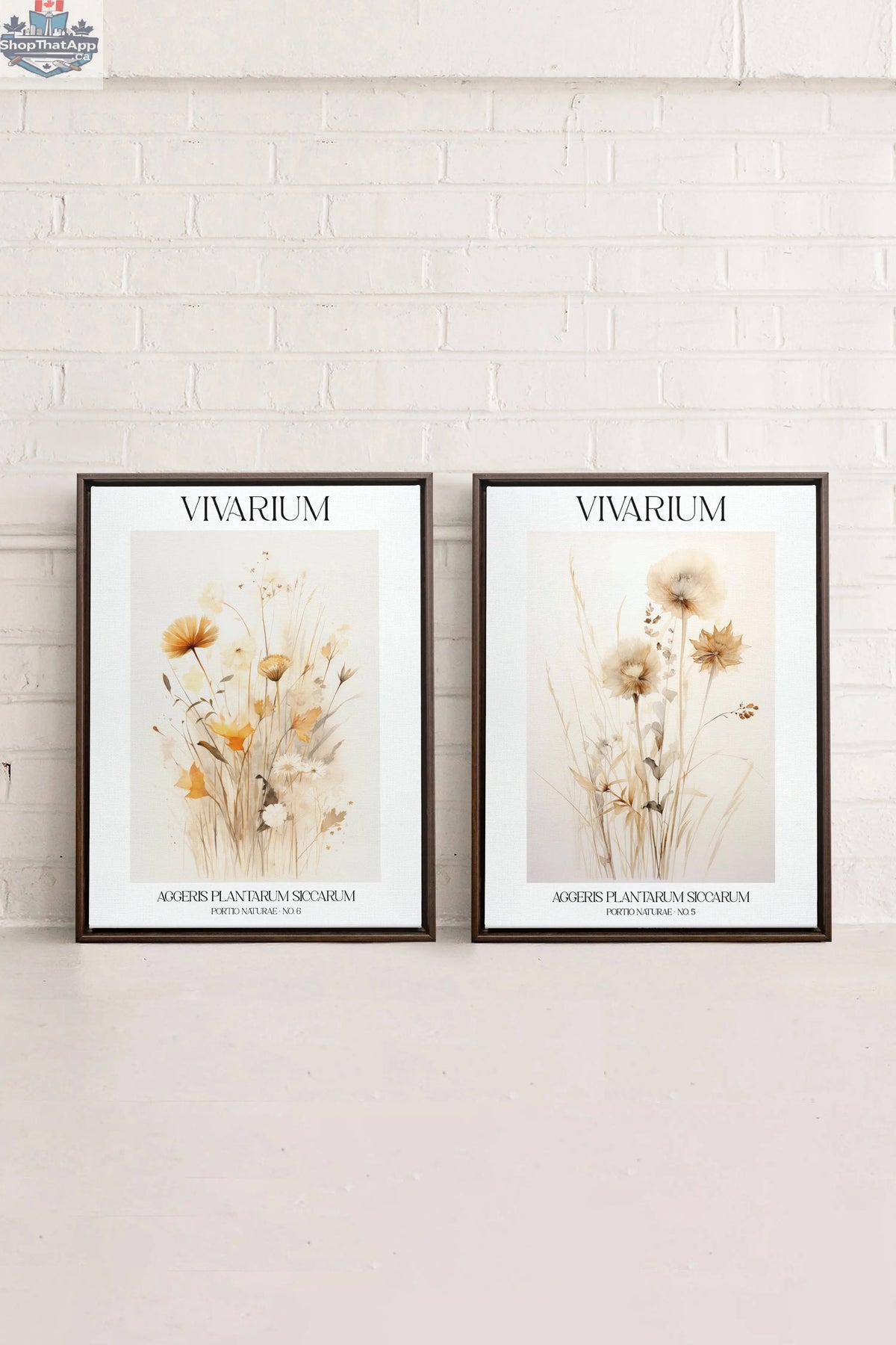 Combinaison Vivarium Imprimée avec 2 Toiles Imprimées - Shopthatapp.ca