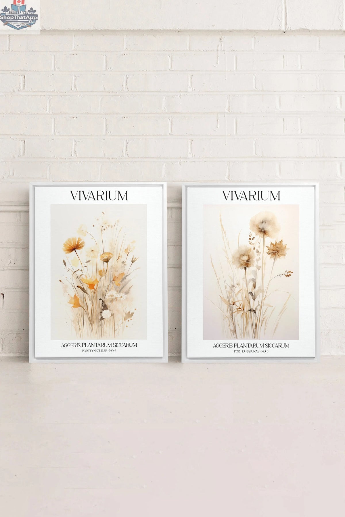 Combinaison Vivarium Imprimée avec 2 Toiles Imprimées - Shopthatapp.ca