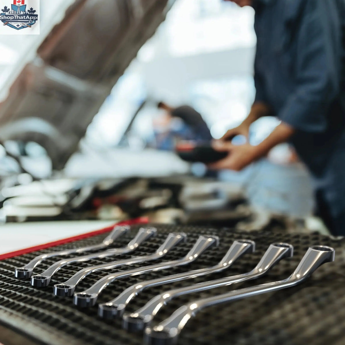 Bolt Extractor Wrench Sets with FlexPro LED Flashlight - Shopthatapp.ca