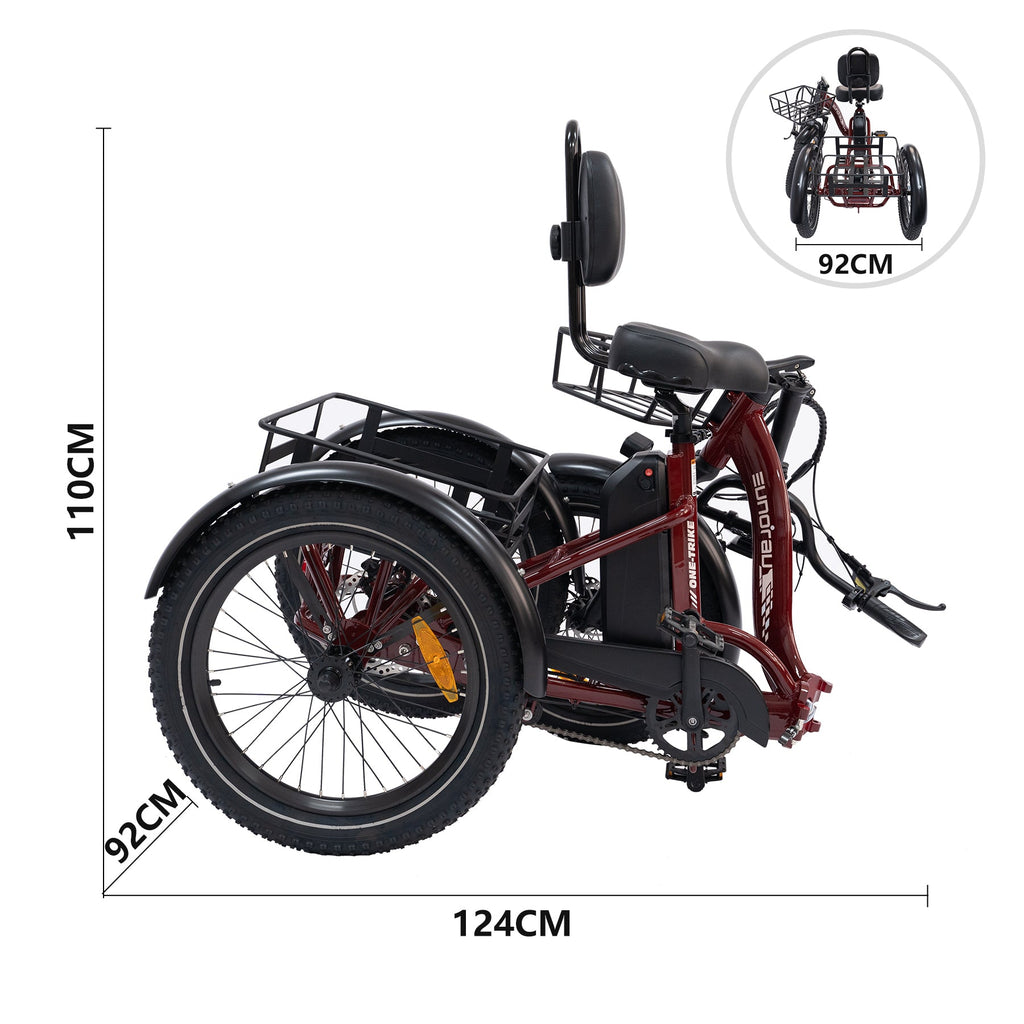 ONE-TRIKE 2.0 - Shopthatapp.ca