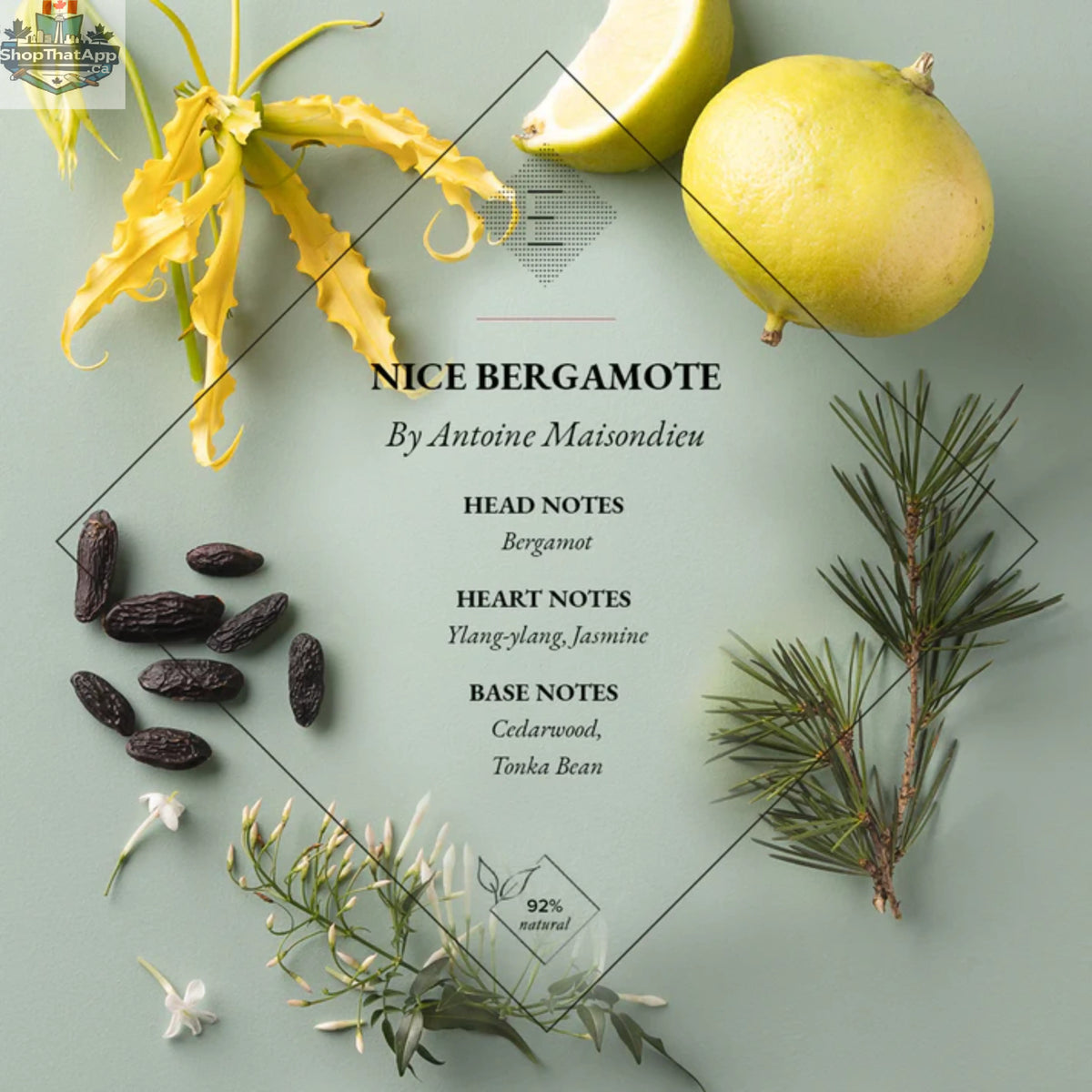 Essential Parfums Nice Bergamote EDP perfume bottle in 100 ml size with a sleek design, showcasing the fragrance's fresh citrus notes.