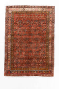 Persian Bidjar Rug | 4' 2" x 5' 9"