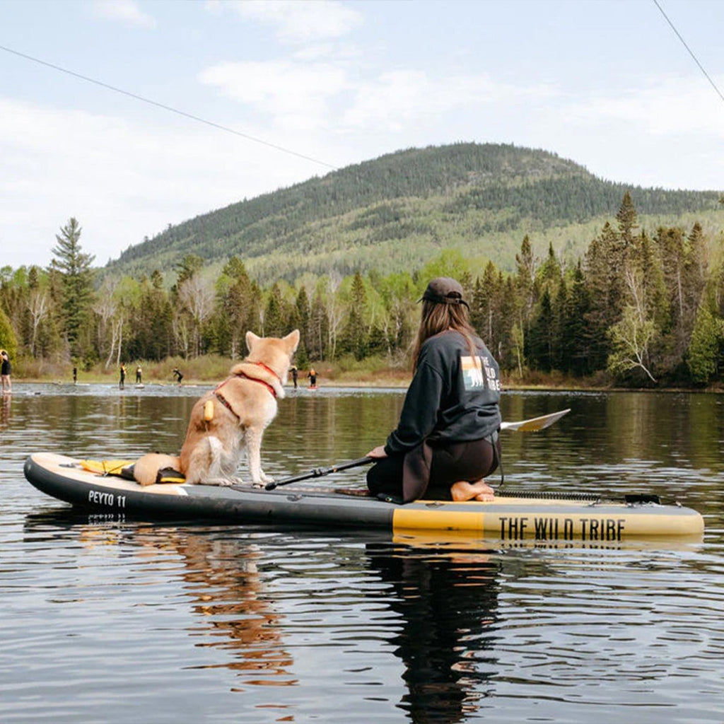 Peyto 11' - Inflatable Paddleboard - Www.Shopthatapp.ca