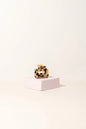 Desire Collection Jewelry - Elegance Redefined - Shopthatapp.ca