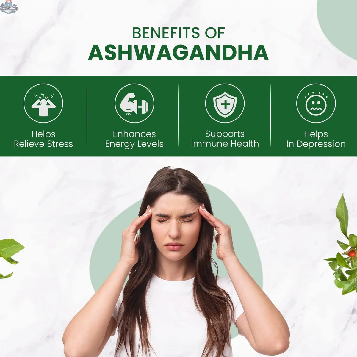 Himalayan Organics Ashwagandha capsules by Prithvi Mart, 120 count, organic wellness supplement for stress relief, in a bottle.