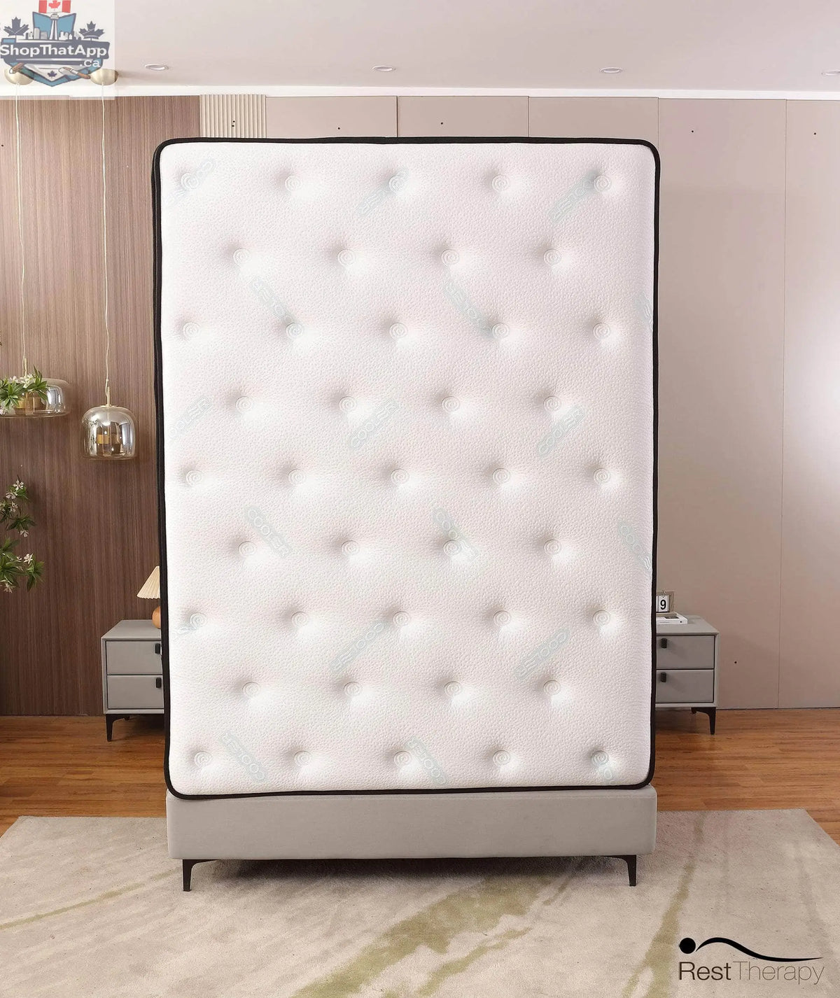 14-inch Euphoria Hybrid Mattress by SLOTH Nation featuring plush cooling pillow top, gel memory foam, and pocket coils for comfort.