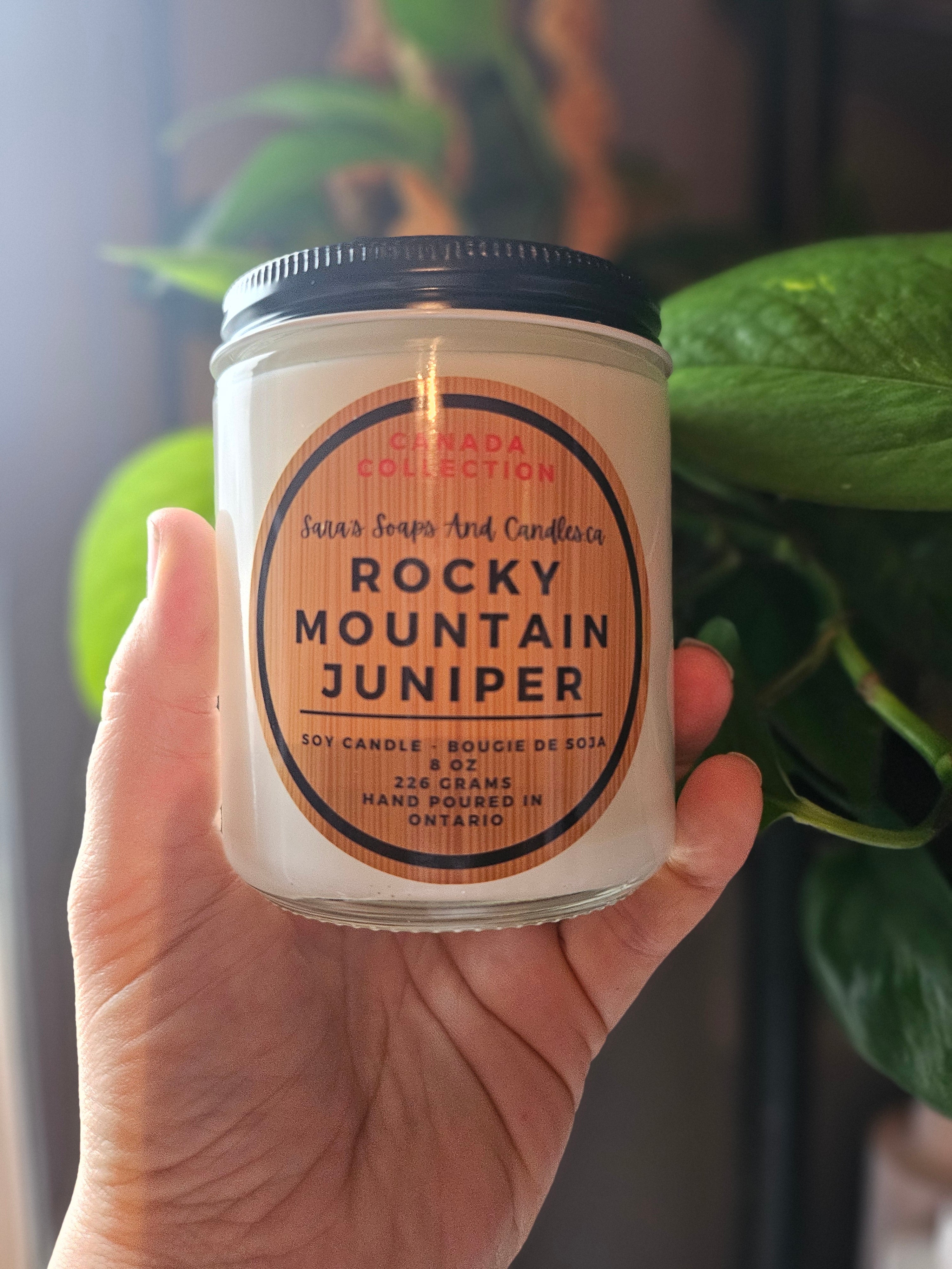 Rocky Mountain Juniper - 8oz soy candle - Shopthatapp.ca