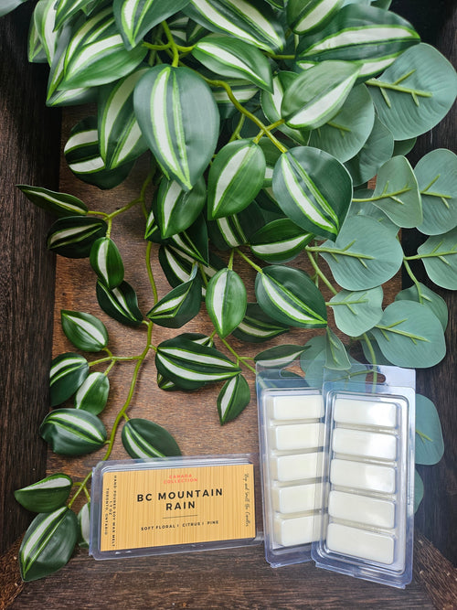 Wax melt bar: BC Mountain Rain. 1.75oz - Shopthatapp.ca