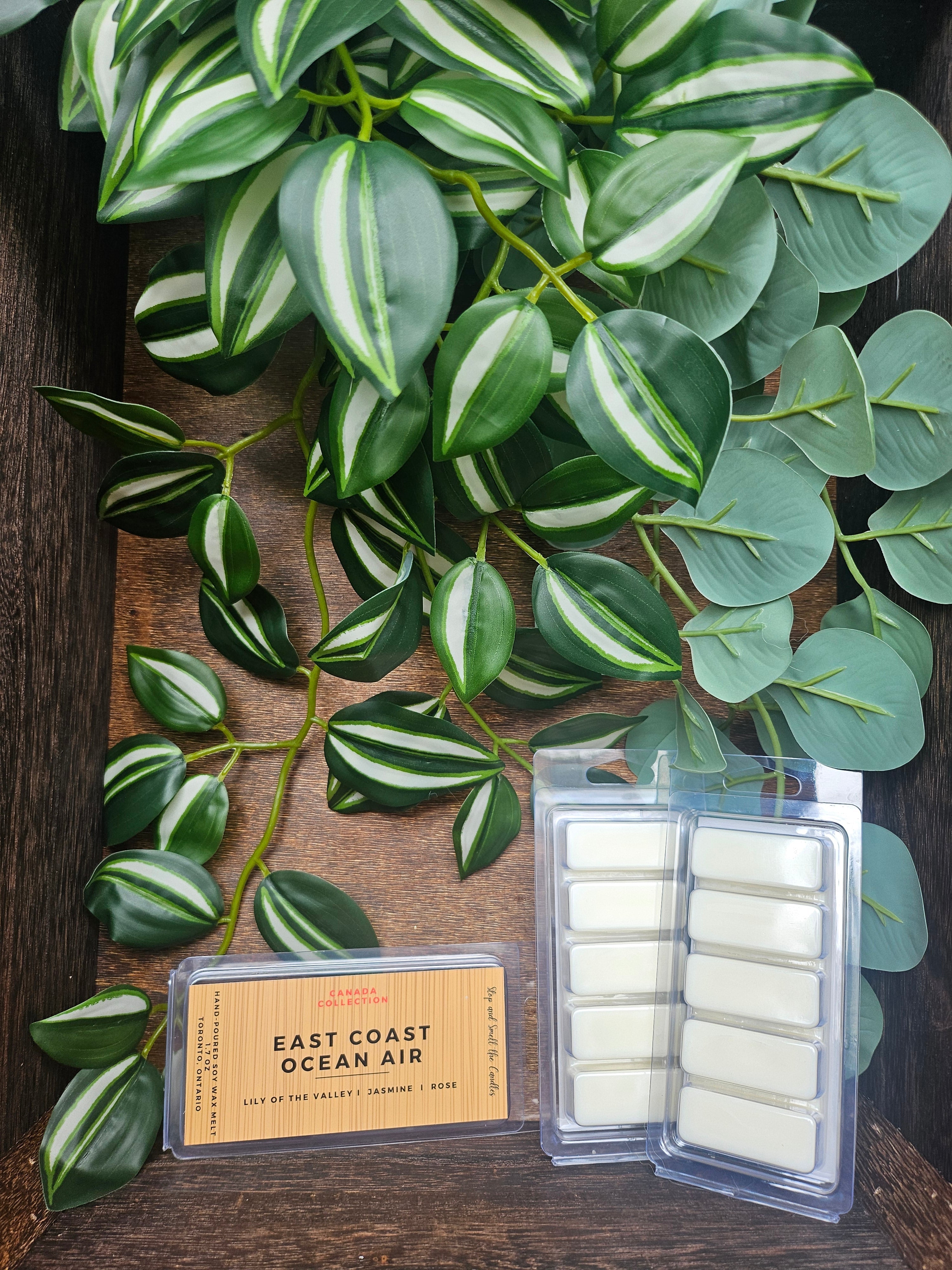 Wax melt bar: East coast ocean air. 1.75oz - Shopthatapp.ca