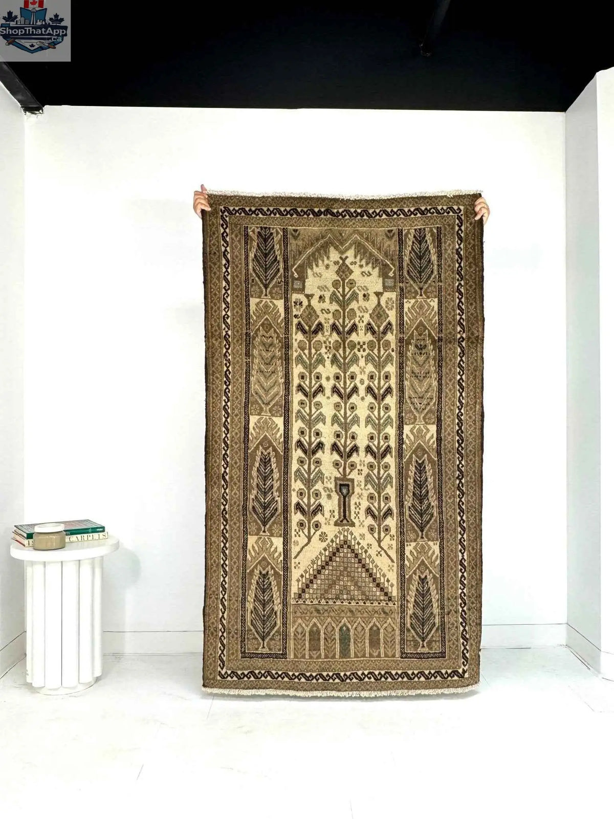 Persian Baluch Rug by Rug the Rock, 3’5” x 6’1”, featuring traditional geometric patterns in rich colors.