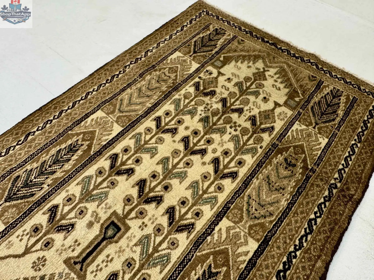 Persian Baluch rug by Rug the Rock, 3' 5" x 6' 1" with intricate traditional patterns and earthy colors.
