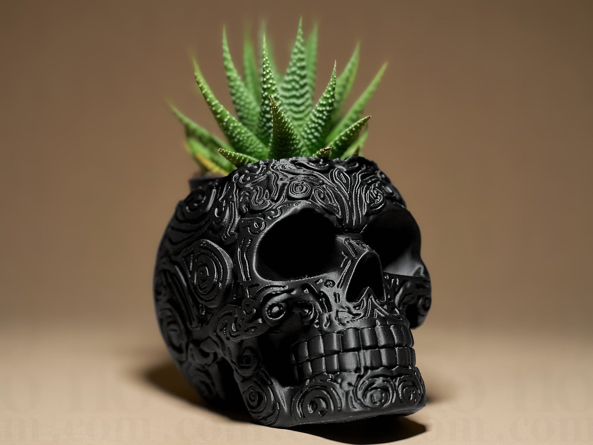 Skull Planter - Gothic Skull Series - Shopthatapp.ca