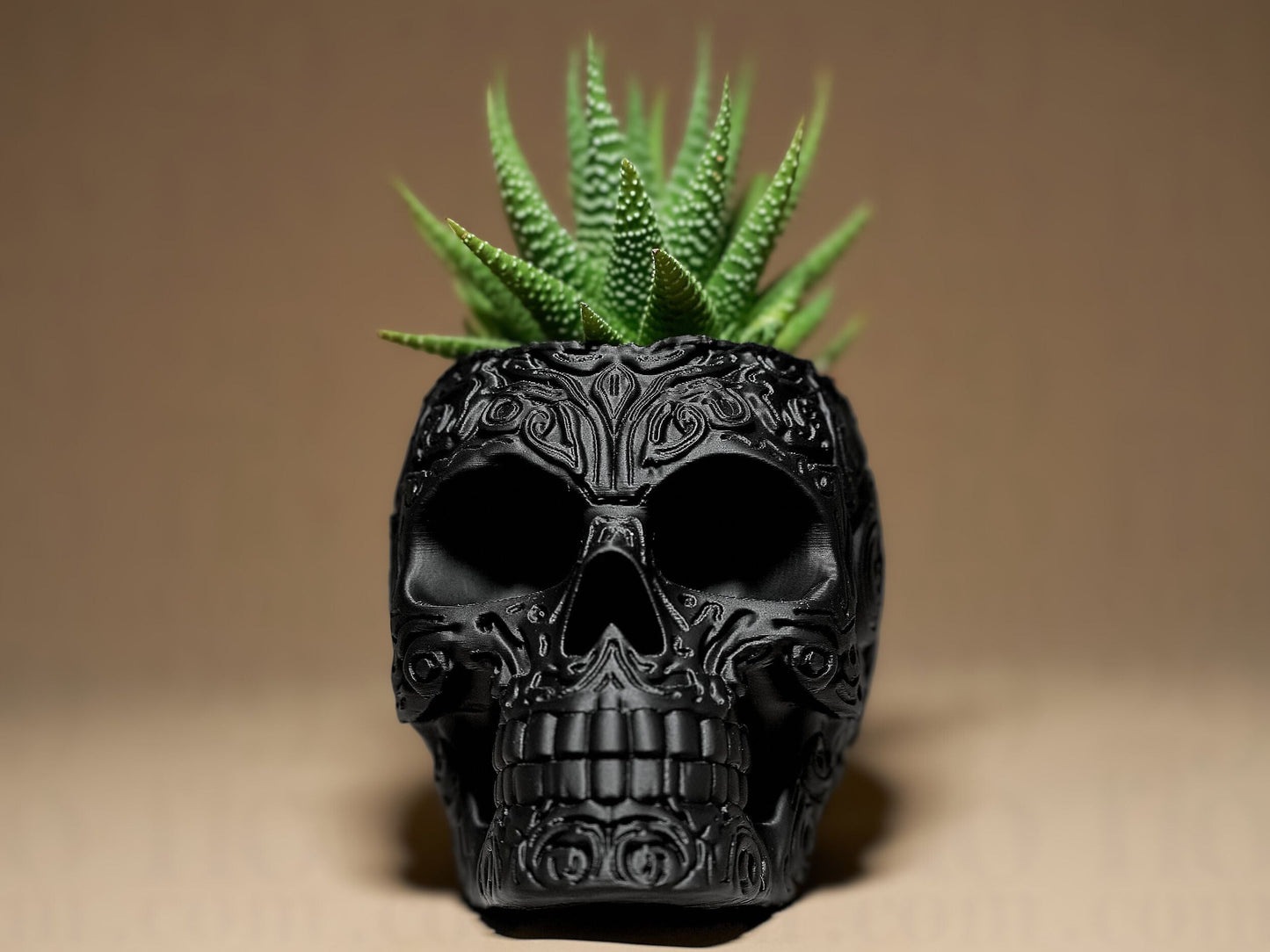 Skull Planter - Gothic Skull Series - Shopthatapp.ca
