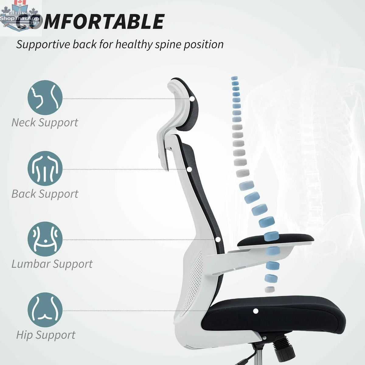 Black and white SLOTH Nation Andre ergonomic office chair with 2D lumbar support and adjustable headrest, suitable for modern workspaces.