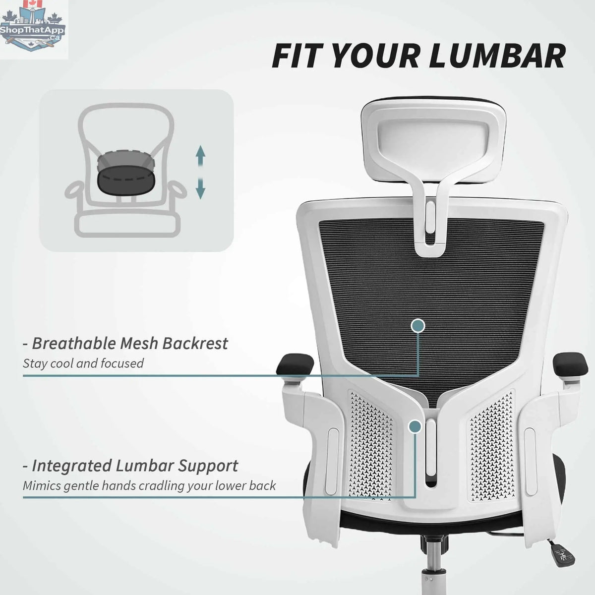 Black and white Andre ergonomic office chair with 2D lumbar support and adjustable headrest from SLOTH Nation.