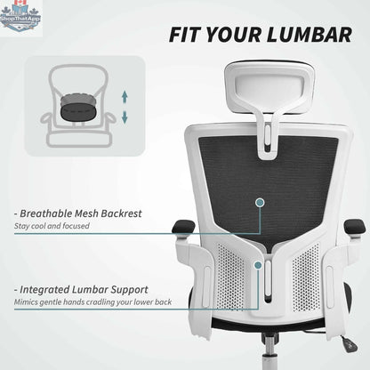 Black and white Andre ergonomic office chair with 2D lumbar support and adjustable headrest from SLOTH Nation.