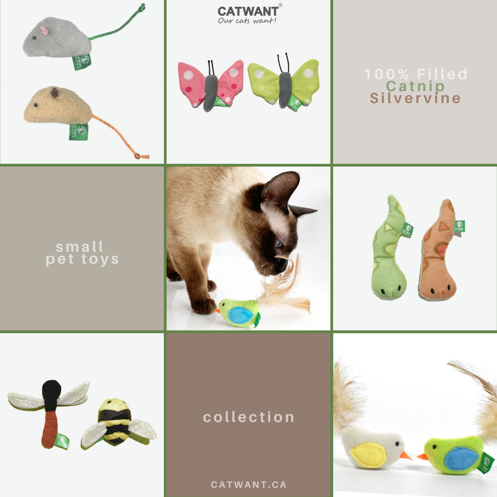 Catnip Silvervine Pet Toys for Small Pets - Happy Playtime Guaranteed - Shopthatapp.ca