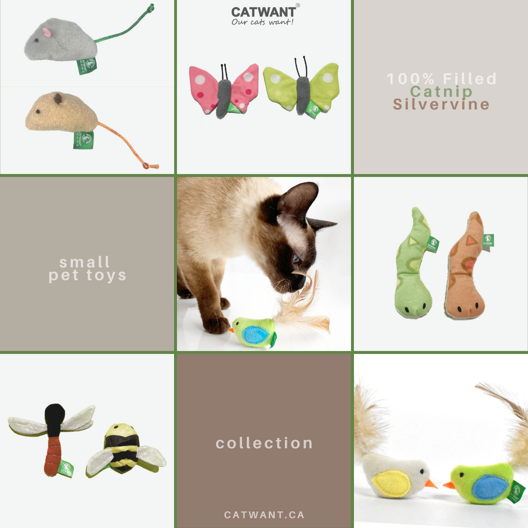 Catnip Silvervine Pet Toys for Small Pets - Happy Playtime Guaranteed - Shopthatapp.ca