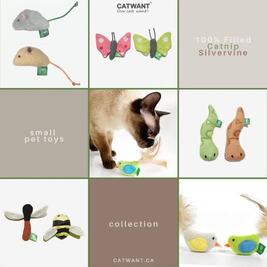 Collection of CATWANT catnip and silvervine small pet toys, colorful and engaging for happy playtime.