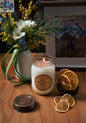 14oz BC Mountain Rain soy candle with cotton wick, featuring refreshing aromatherapy scent from Stopandsmellthecandles, set in a glass jar.