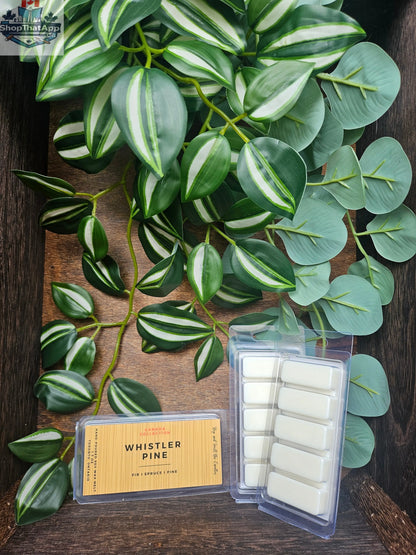Whistler Pine wax melt bar by Stopandsmellthecandles, 1.75oz, featuring a pine scent with a textured wax bar and pinecone accents.