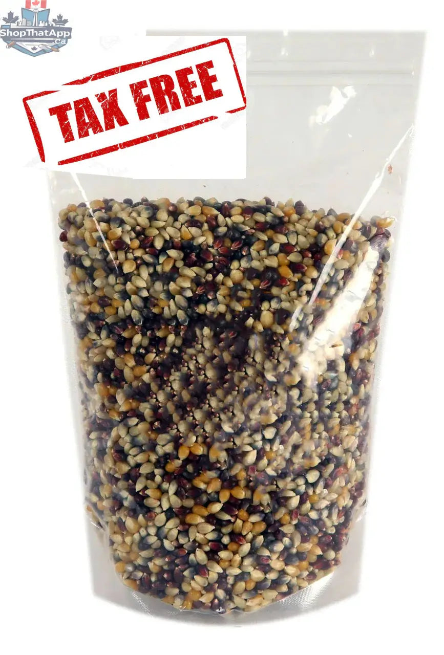 Bulk organic ancient grain popcorn kernels from The Canada Popcorn Company, showing a close-up of colorful dry popcorn grains.