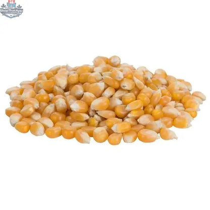 Bulk 50 lbs Sunglo mushroom popcorn kernels from The Canada Popcorn Company, premium quality popcorn supplies for perfect popping.