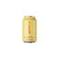 Spruce Dry Hopped Sour Beer - Unique Craft Brew Experience - Shopthatapp.ca