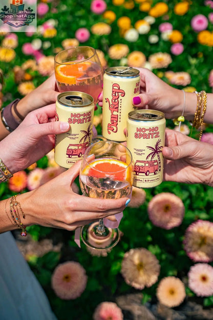 Barkeep No-No Spritz - The Ultimate Cocktail Companion - Shopthatapp.ca