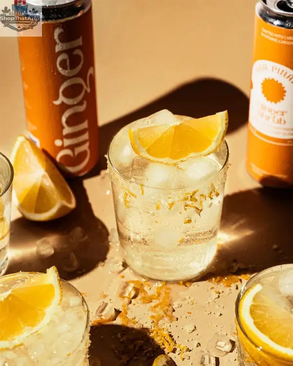 Casa Piñata Ginger Shrub Drink - Refreshing and Invigorating Beverage - Shopthatapp.ca