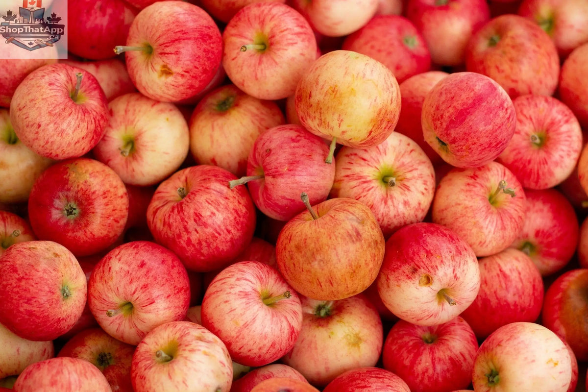 Dead Horse Red Apple Cider - Crisp & Refreshing Taste - Shopthatapp.ca
