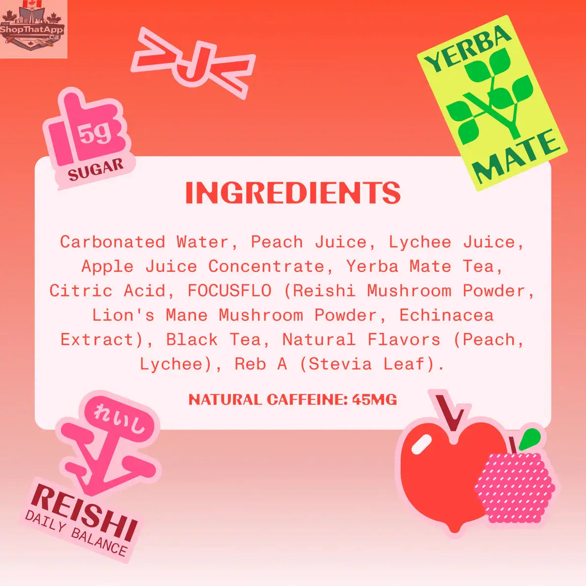 FLOJO Peach Lychee - Refreshing Fruit-Inspired Beverage - Shopthatapp.ca