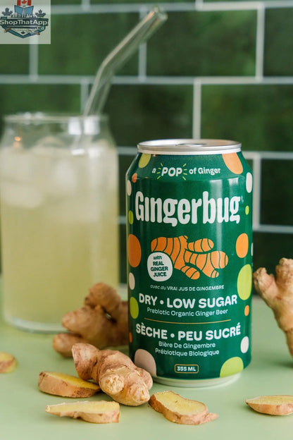 Gingerbug Dry - Ferment Your Own Ginger Soda at Home - Shopthatapp.ca