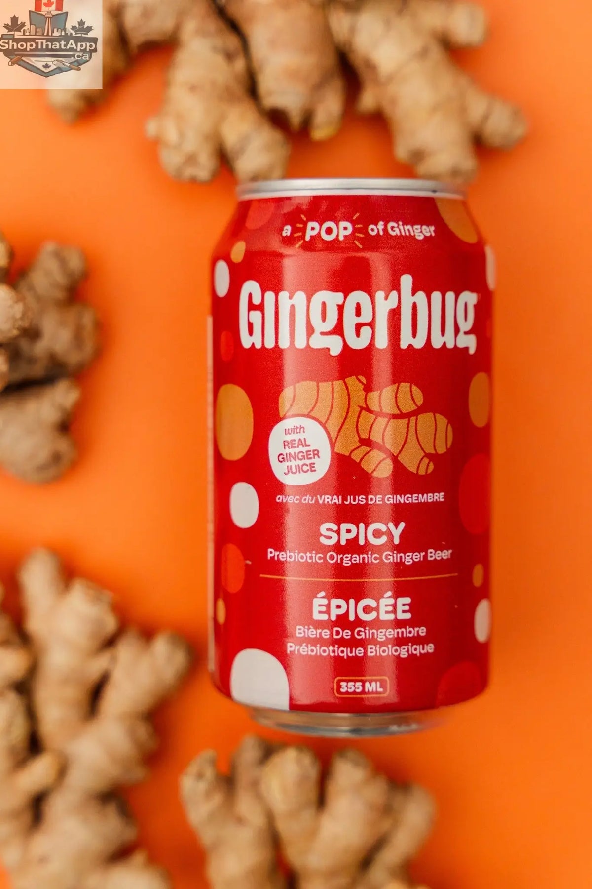 Gingerbug Starter Culture - Spicy Fermented Beverage Starter - Shopthatapp.ca