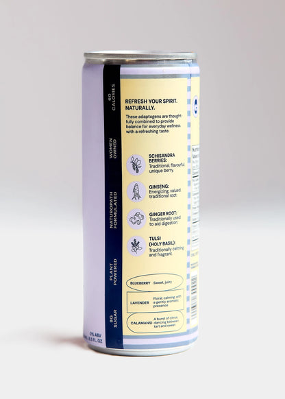Ginny Blueberry Lavender Calamansi Gin - Refreshing Flavor Blend - Shopthatapp.ca