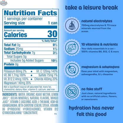 Leisure Hydration - Wild Blueberry Hydration Drink - Shopthatapp.ca