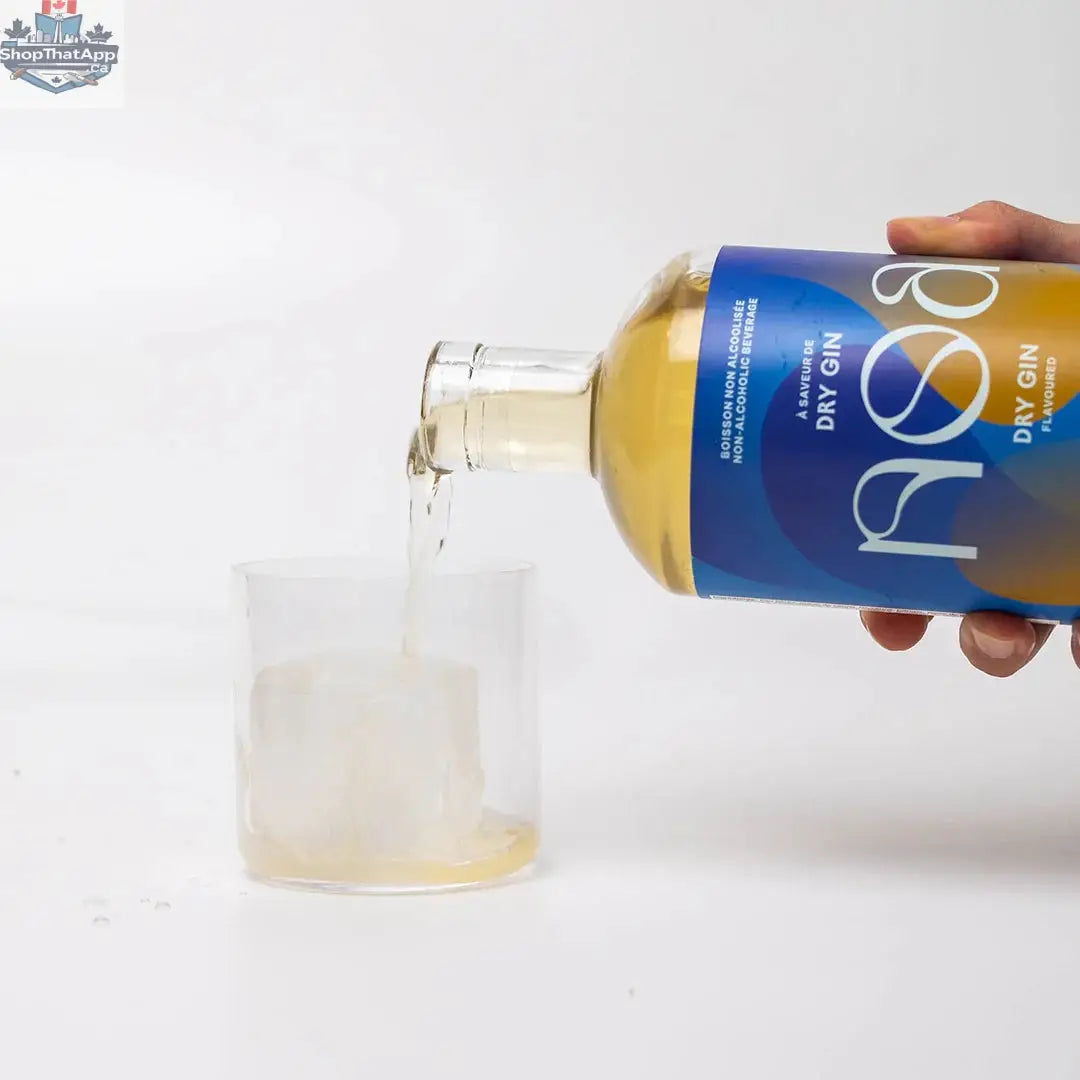 NOA Dry Gin Mini - Premium Small Batch Craft Gin - Shopthatapp.ca