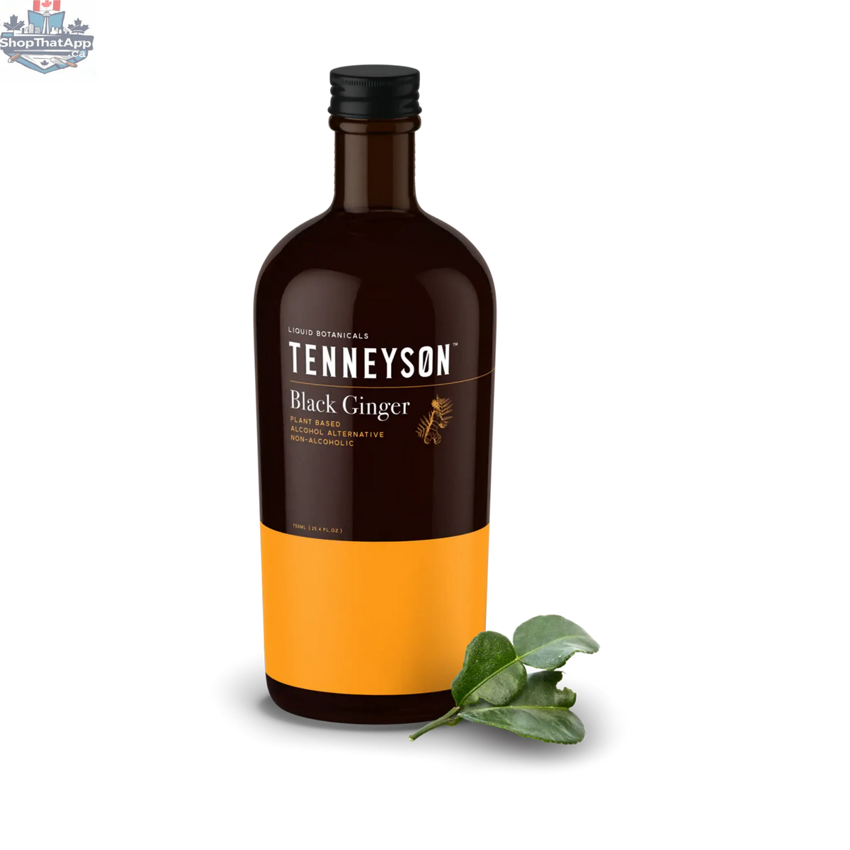 Tenneyson Black Ginger Tea - Premium Herbal Blend for Wellness - Shopthatapp.ca