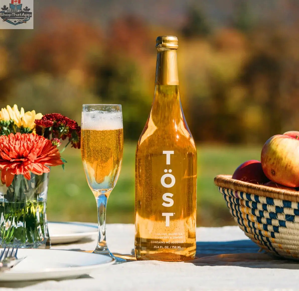 TӦST Original Cocktail - Refreshing Sparkling Wine Alternative - Shopthatapp.ca