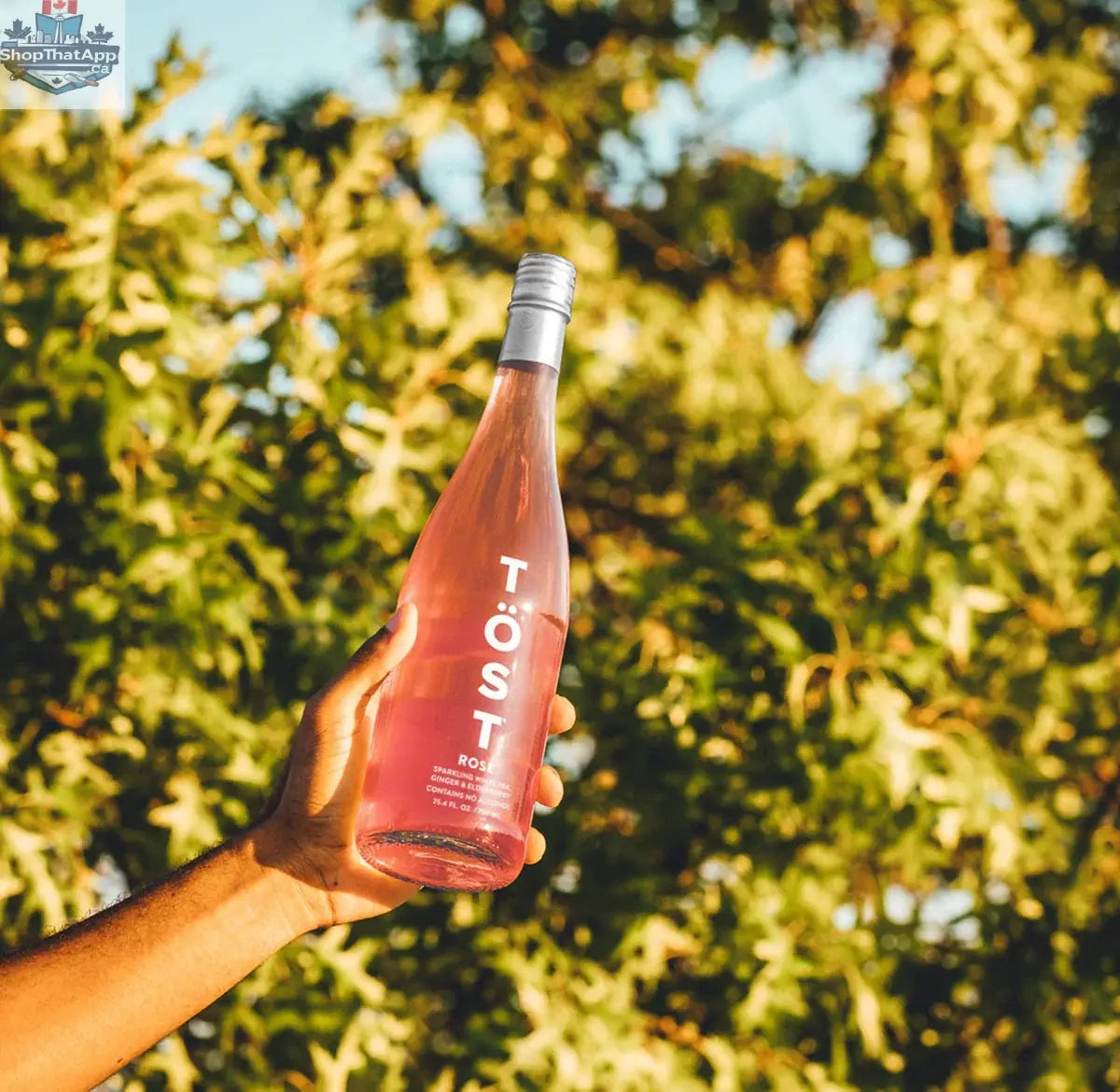 TӦST Rosé Wine - Refreshing Sparkling Wine for Any Occasion - Shopthatapp.ca