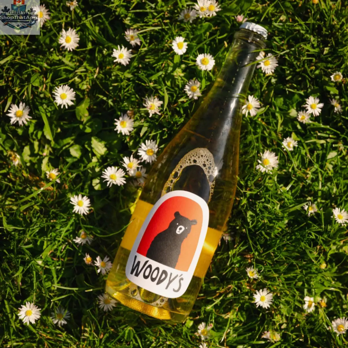 Woody's Sparkling Blanc de Blanc Modern Mule Shoes - Shopthatapp.ca