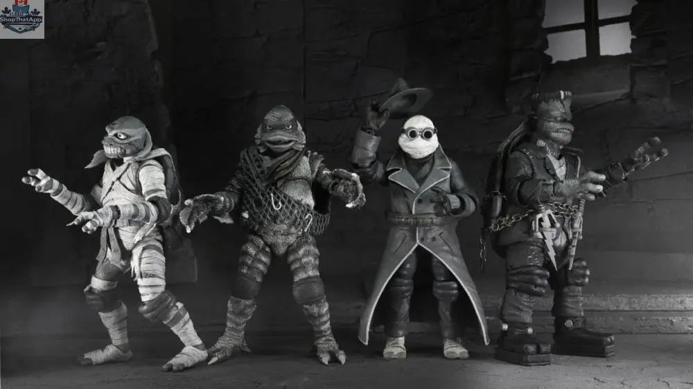 Black and white Teenage Mutant Ninja Turtles action figure pack featuring classic Turtle characters from Toy Snowman.