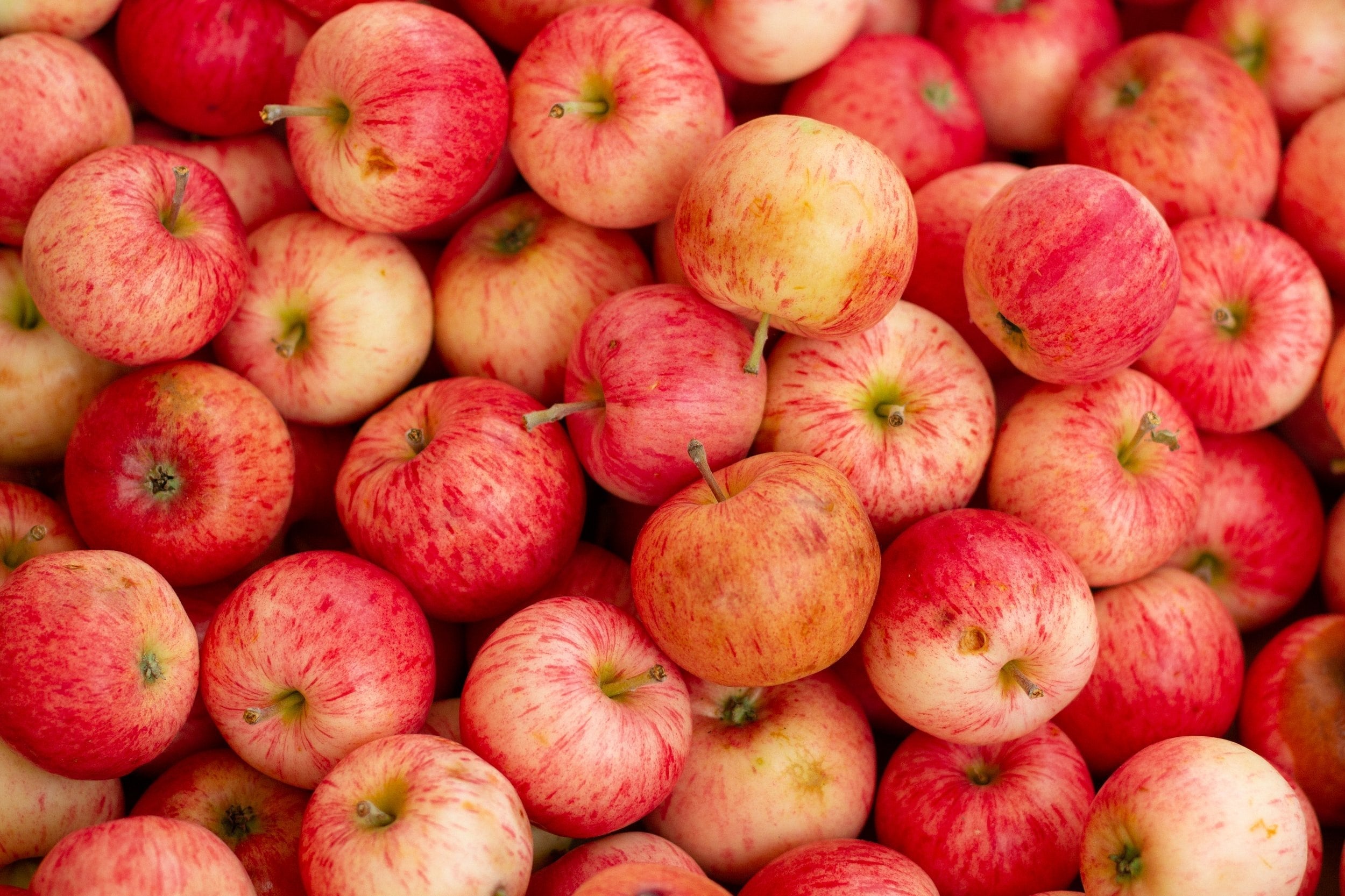Dead Horse Red Apple Cider - Crisp & Refreshing Taste